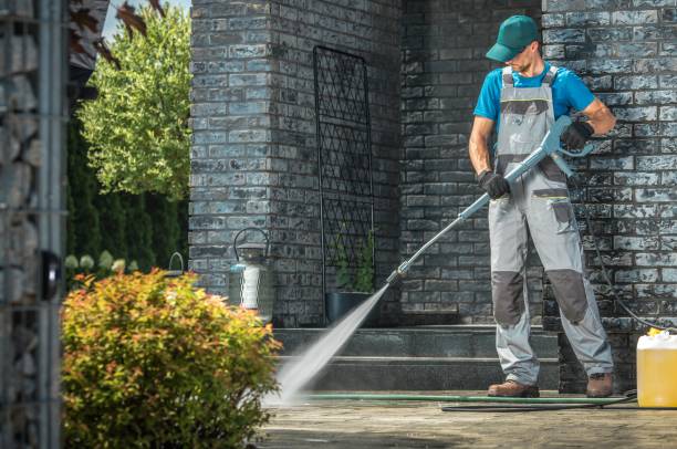Best Roof Cleaning and Mildew Removal in Red Oak, TX